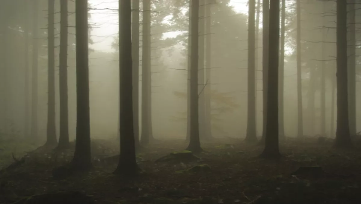 Out of the woods but still out of favour