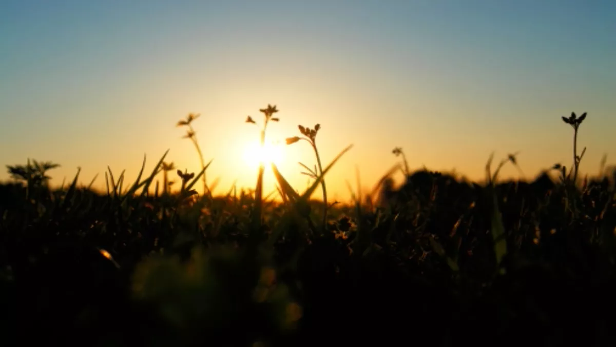 Brocade seeks daylight for Vyatta SDN Controller