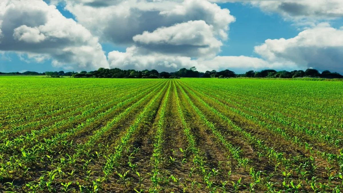 Vodafone offers farmers glimpse of 4G future