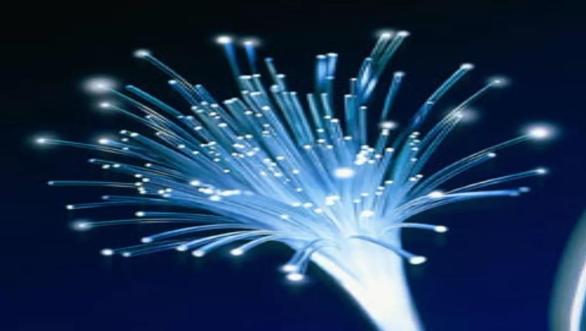 2012: The year of fibre