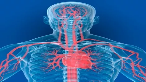 Kinect technology captures imaginations