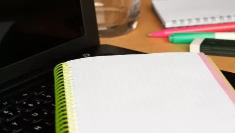 Kiwi online university launches worldwide