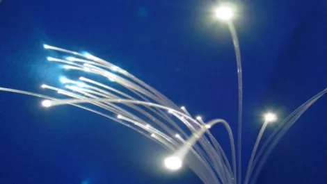 Fibre watch5