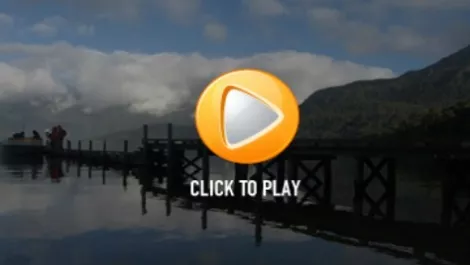 Wild nz click to play