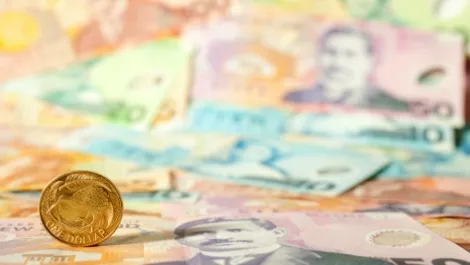New zealand money