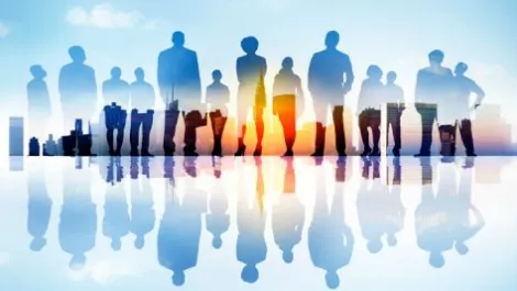 Business insights and stuff