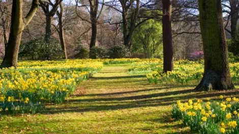 Auckland and Christchurch global smart city winners