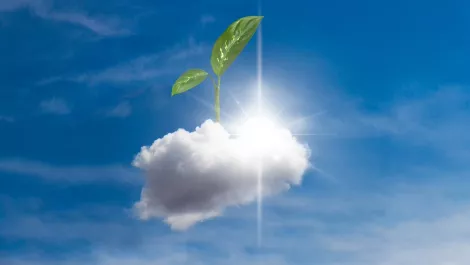 Cloud growth