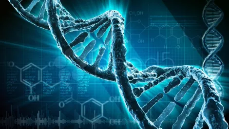 Dna genes and the like