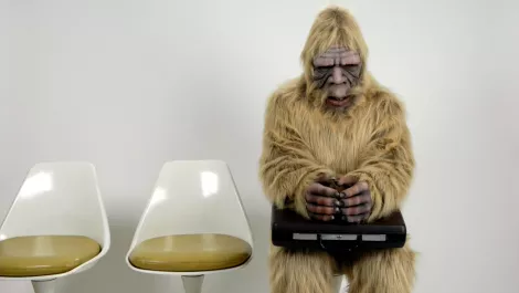 Gallery yeti
