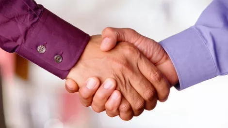 Handshake purple