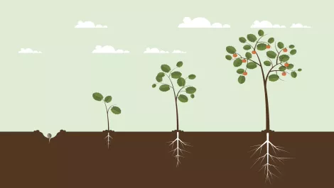 Thinkstockphotos 512972486