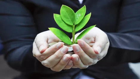 Thinkstockphotos 479491237