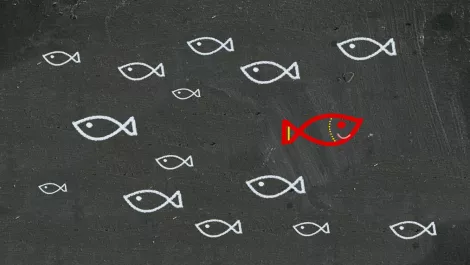 Thinkstockphotos 491937203