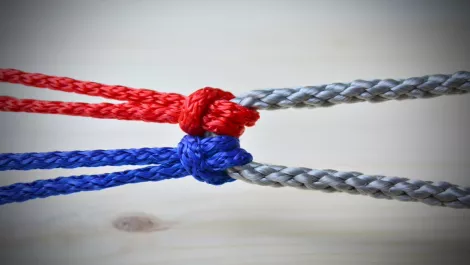 Waikato Uni & Tongan Government stand side by side for cyber security