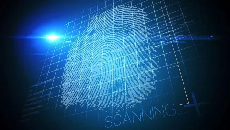 Thinkstockphotos 502880387 1