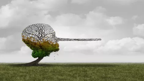 Thinkstockphotos 807095998