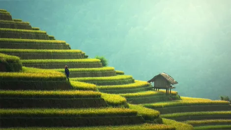 Story image