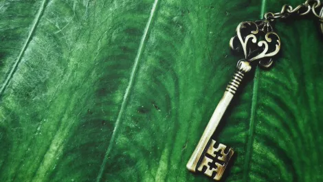 Thinkstockphotos 864007378 lcnuutn