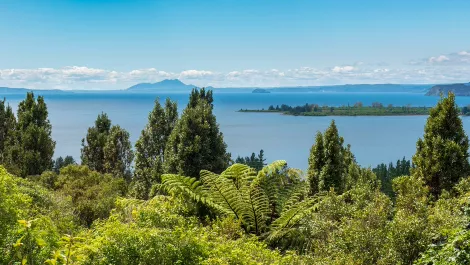 Gettyimages 1064113104