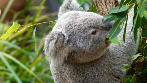 Gettyimages 669835068