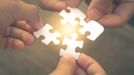 Govt's digital trade deal good news for Kiwi business