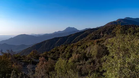 Gettyimages 1211081262