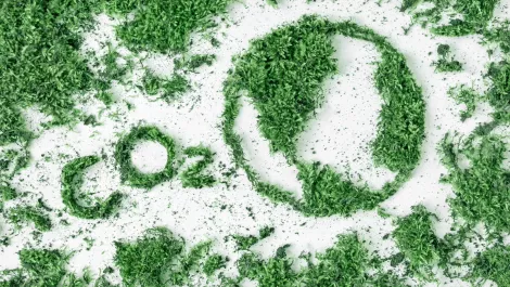 Gettyimages 1221462180