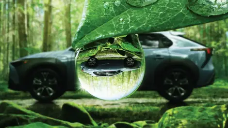 Powering EVs with trees