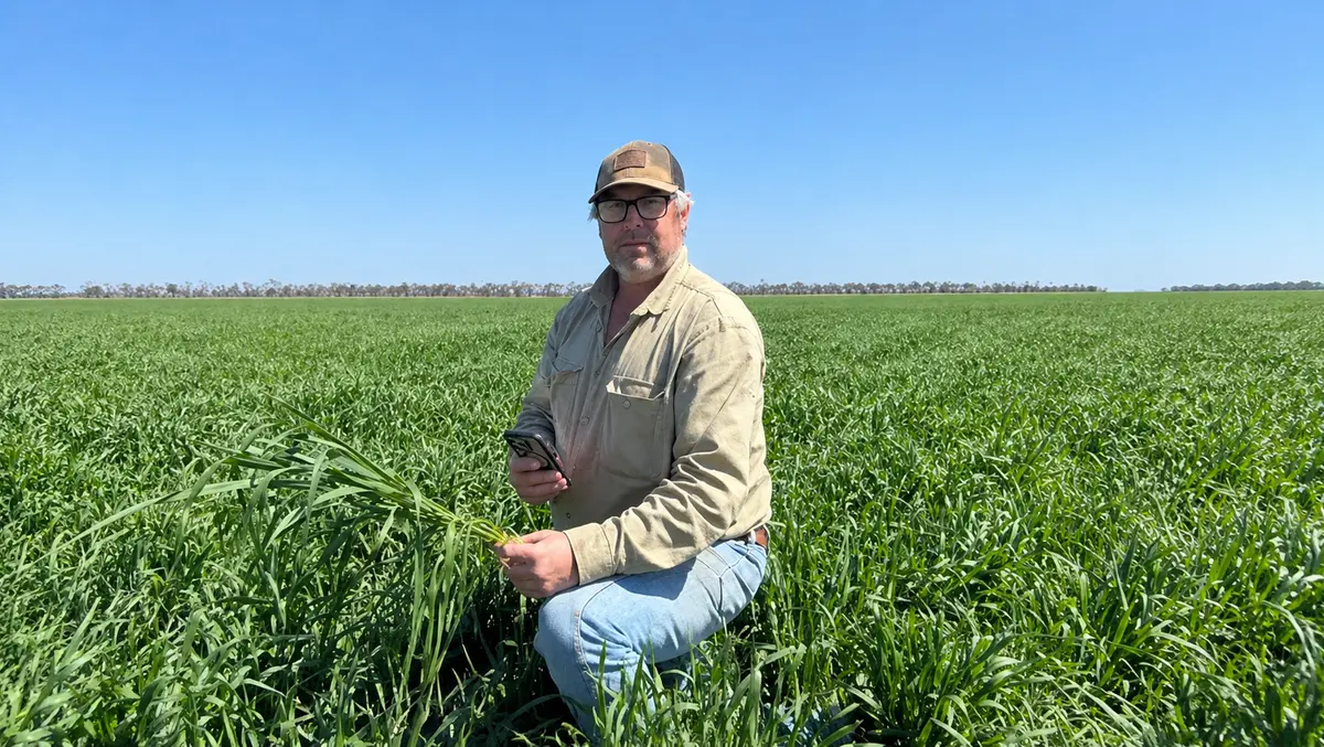 Australian farms test AI assistant to cut paperwork